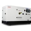 Tsuzumi TYG 35 KvA Series Generator